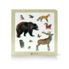 Animales del bosque 2