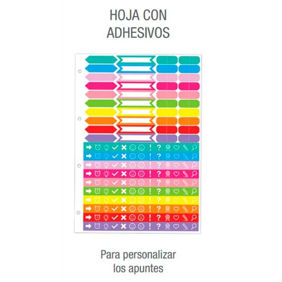 Archivador A4 4anillas con recambio colores surtidos