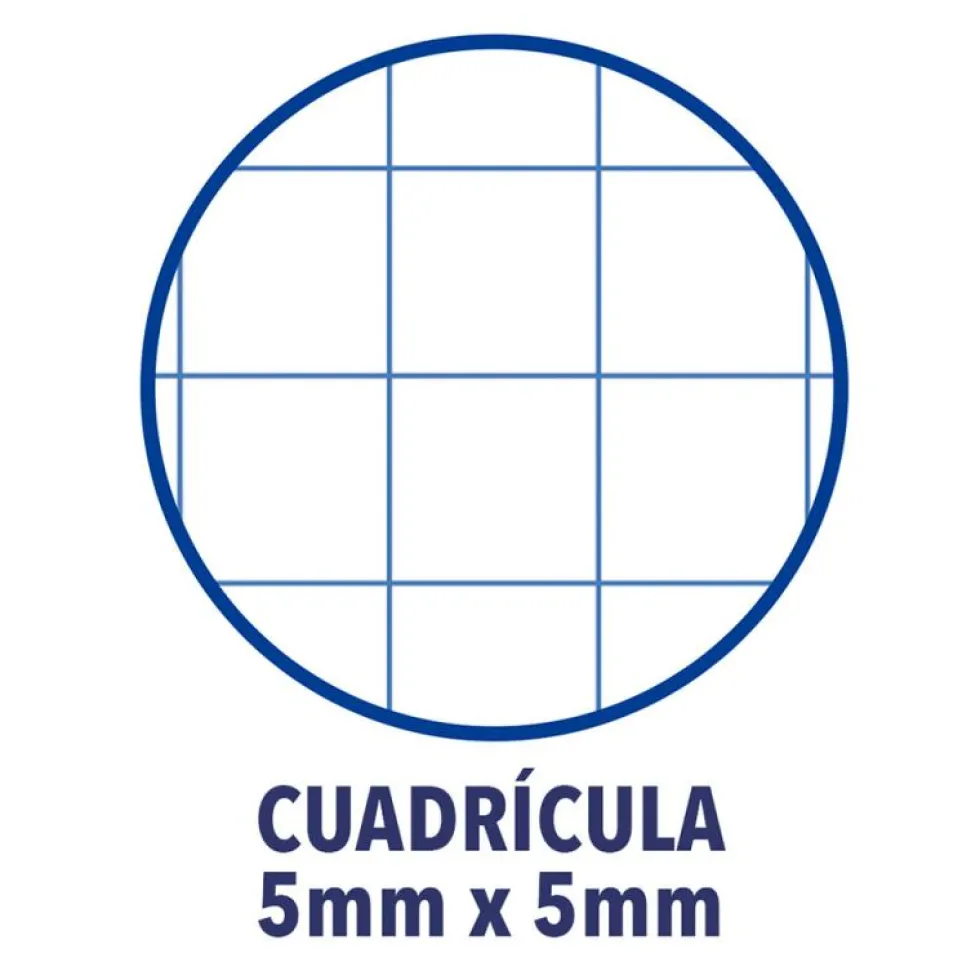 Bloc A4 cuadro 5mm. 150hj tapa extradura Oxford