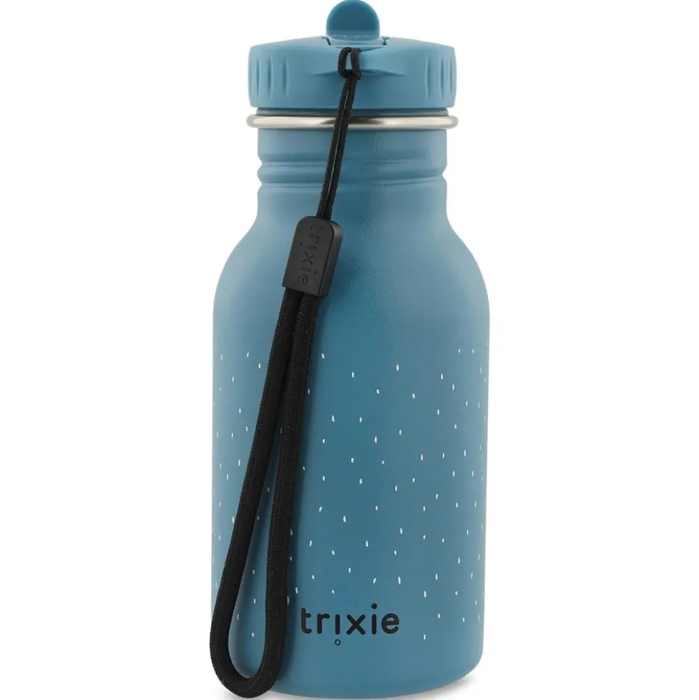 Botella inox triceratops 350ml