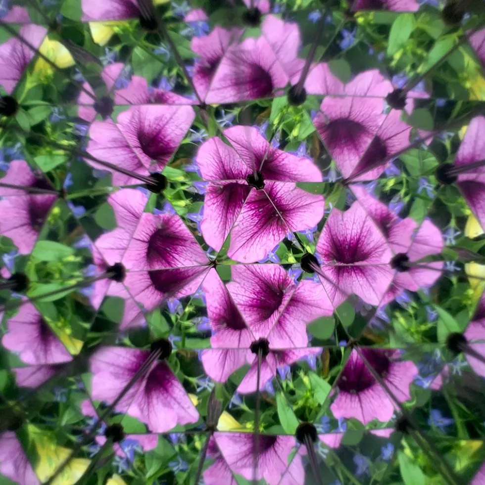 Caleidoscopio Huckleberry