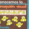 Conocemos percepción visual 3