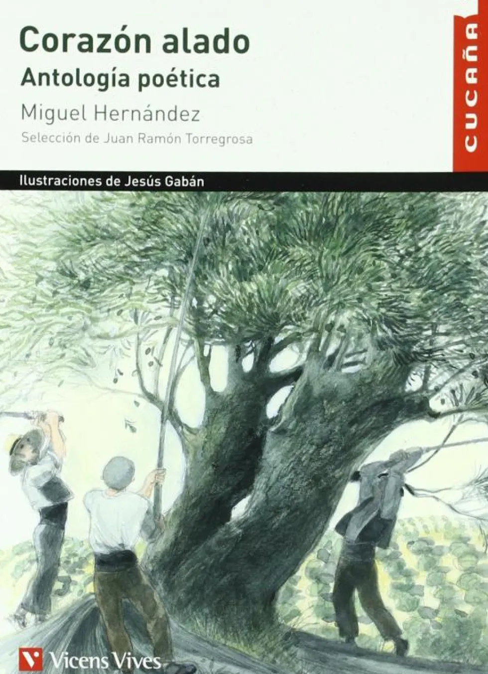 Corazon Alado - Cucaa