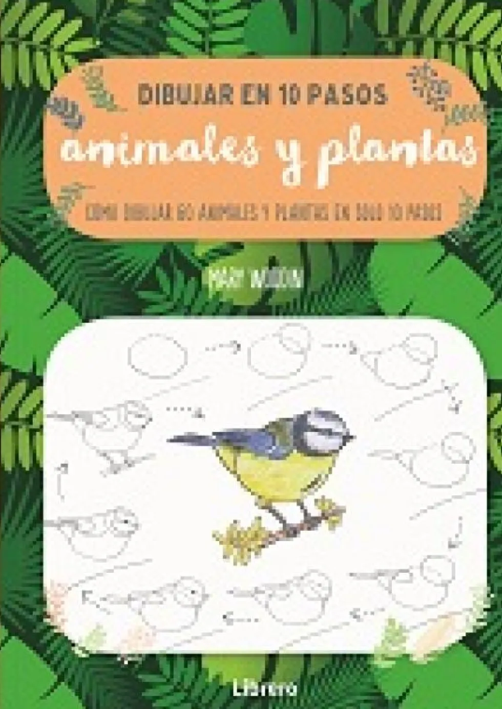 DIBUJAR ANIMALES Y PLANTAS EN 10 PASOS