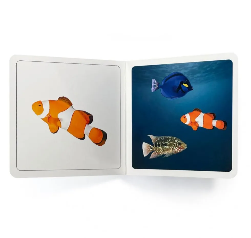 DÓNDE ESTÁN LOS PECES