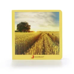 El campo