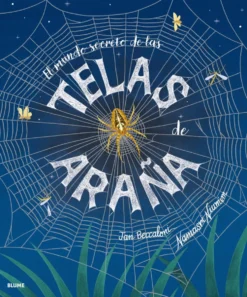 El mundo secreto de las telas de araña