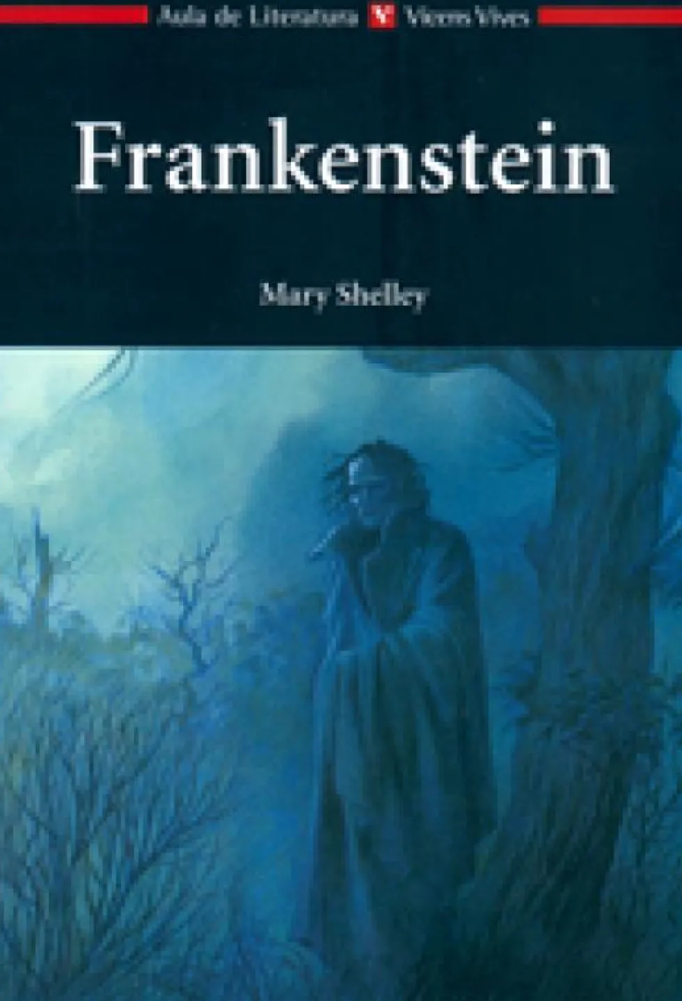 Frankenstein - Aula De Literatura