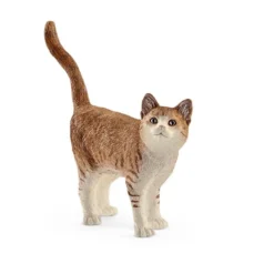 Gato