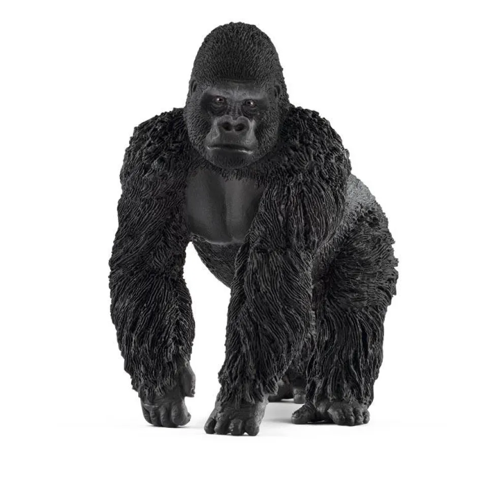 Gorila macho