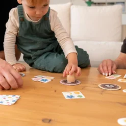 Juego de observación Bidibirdy