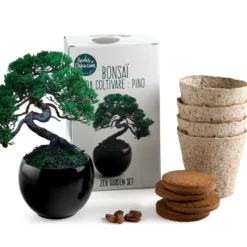 Kit de cultivo bonsái