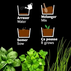 Kit de cultivo invernadero cristal aromáticas bio con 3 macetas metal