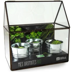 Kit de cultivo invernadero cristal aromáticas bio con 3 macetas metal