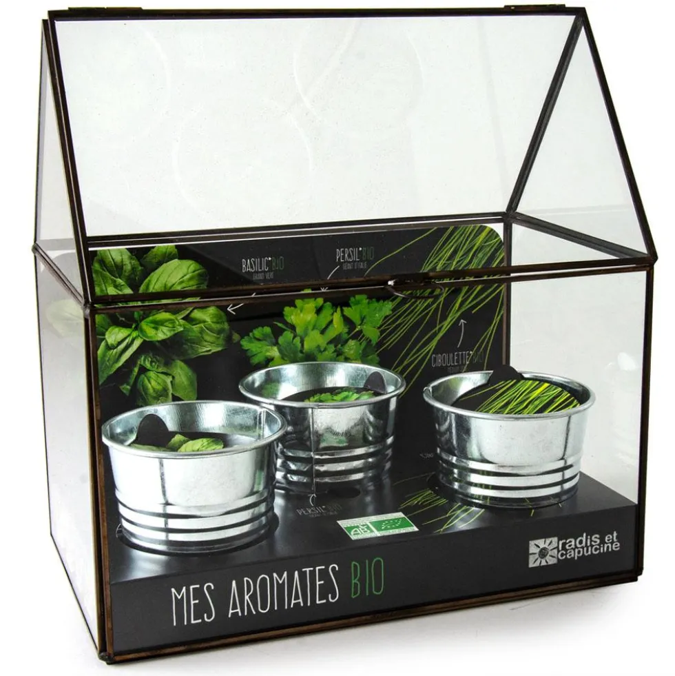 Kit de cultivo invernadero cristal aromáticas bio con 3 macetas metal