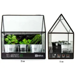 Kit de cultivo invernadero cristal aromáticas bio con 3 macetas metal