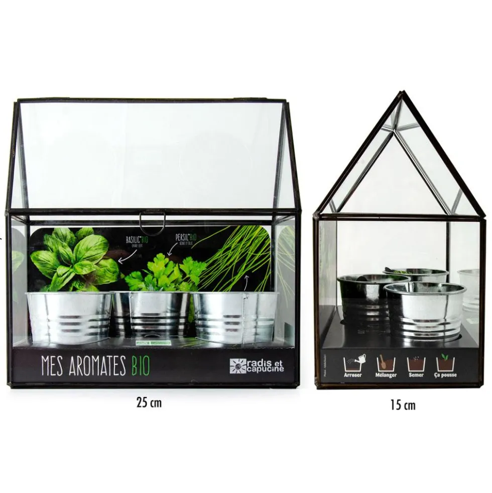 Kit de cultivo invernadero cristal aromáticas bio con 3 macetas metal