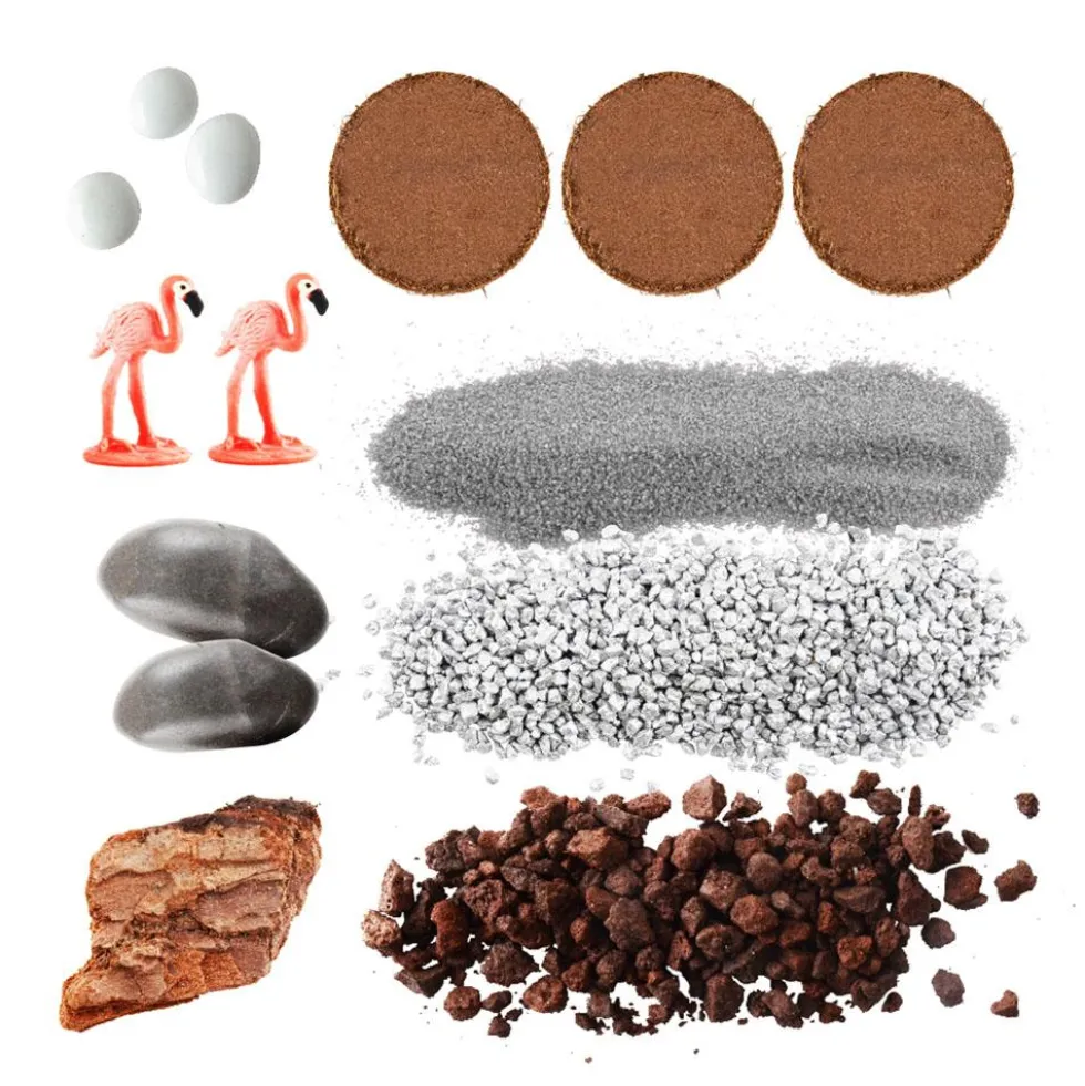 Kit de cultivo Terrarium de cristal espárragos