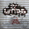 27 latidos