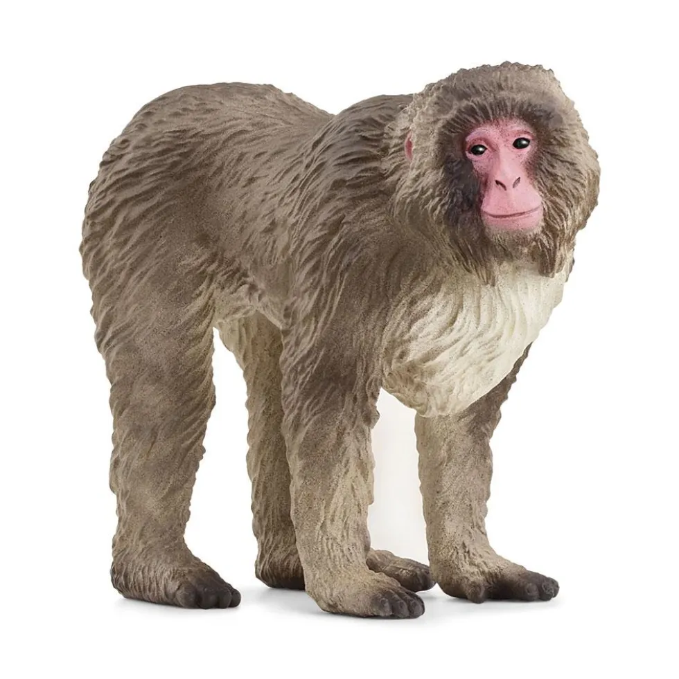 Macaco japonés. Schleich
