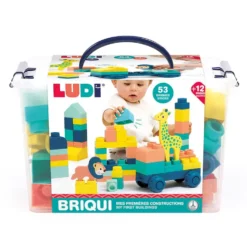 Mi primer set de construcción Briqui 53 piezas 1 vehículo 2 animales