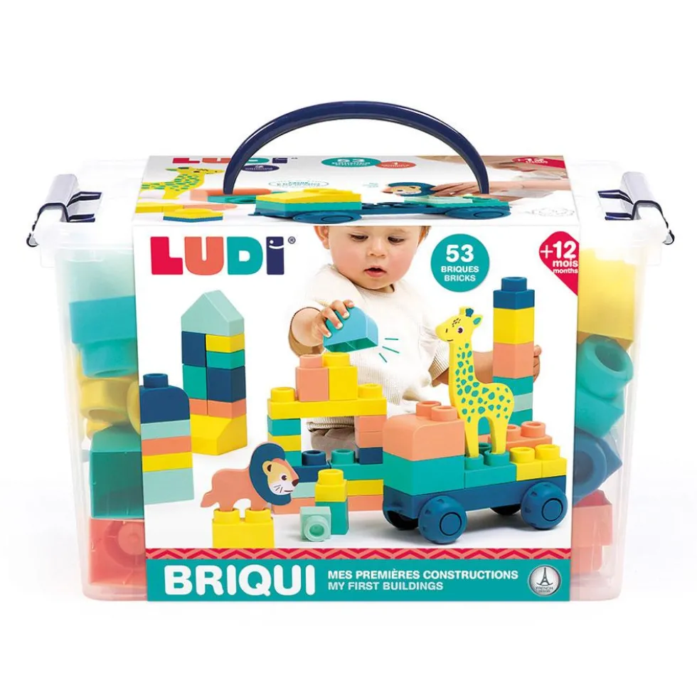 Mi primer set de construcción Briqui 53 piezas 1 vehículo 2 animales