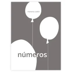 Números (braille)