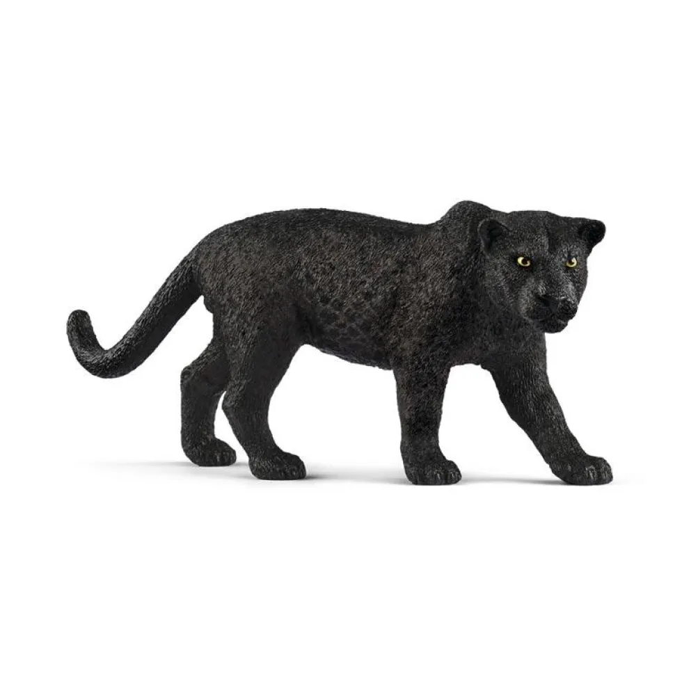 Pantera negra
