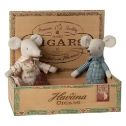 Pareja de abuelos ratones en caja