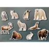 Set animales polares magnéticos 10 piezas