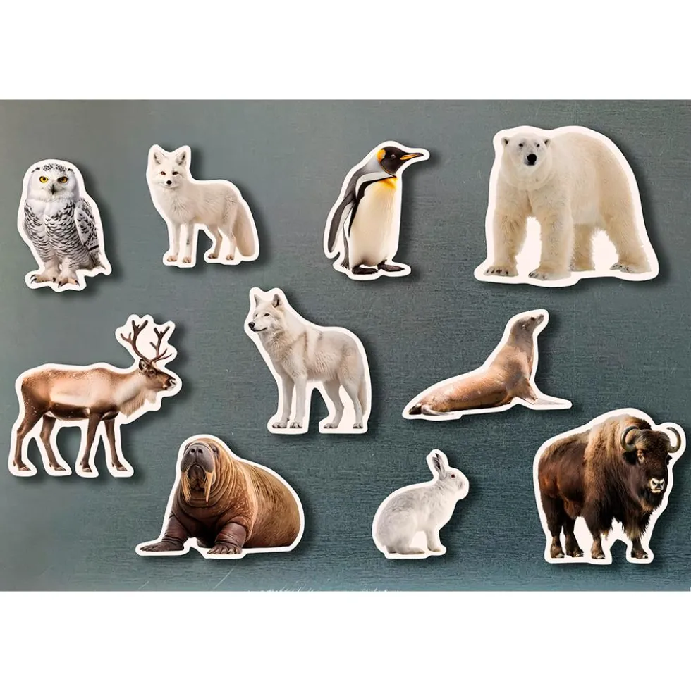Set animales polares magnéticos 10 piezas