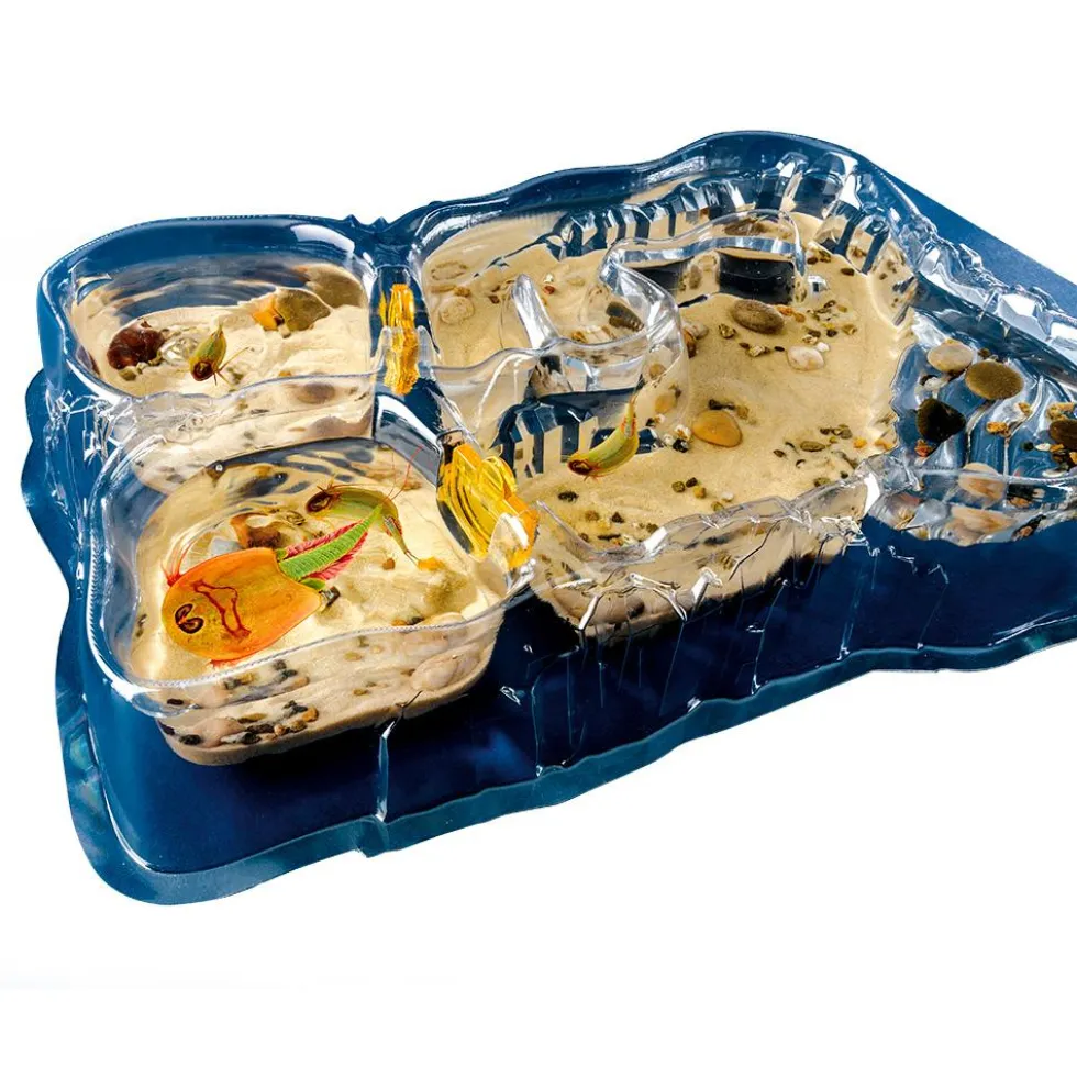Set de cultivo criaturas marinas Triops world