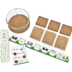Set de cultivo de hierba gatera