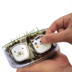 Set de cultivo de hierba gatera