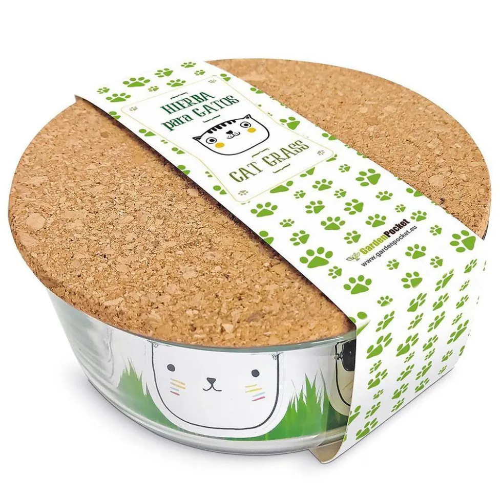 Set de cultivo de hierba gatera