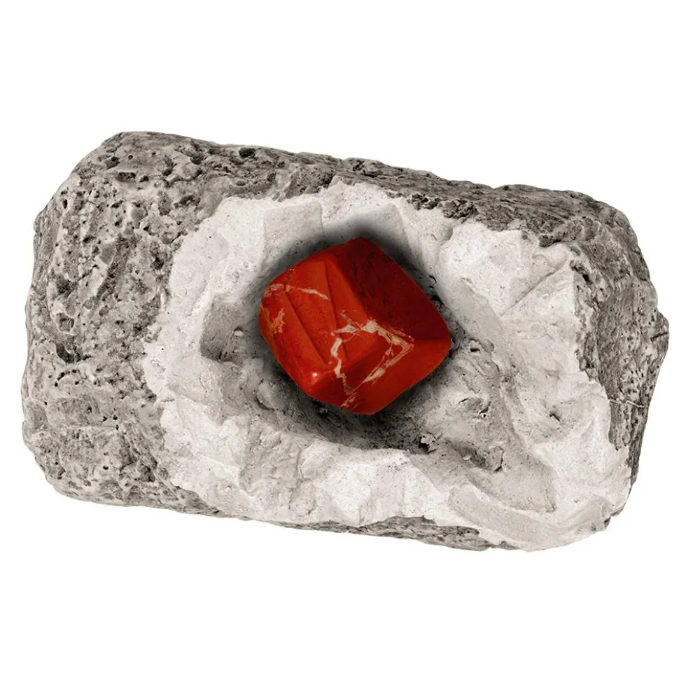 Set de excavación minerales y fósiles