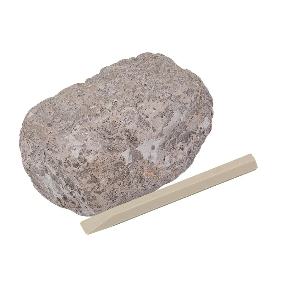 Set de excavación minerales y fósiles