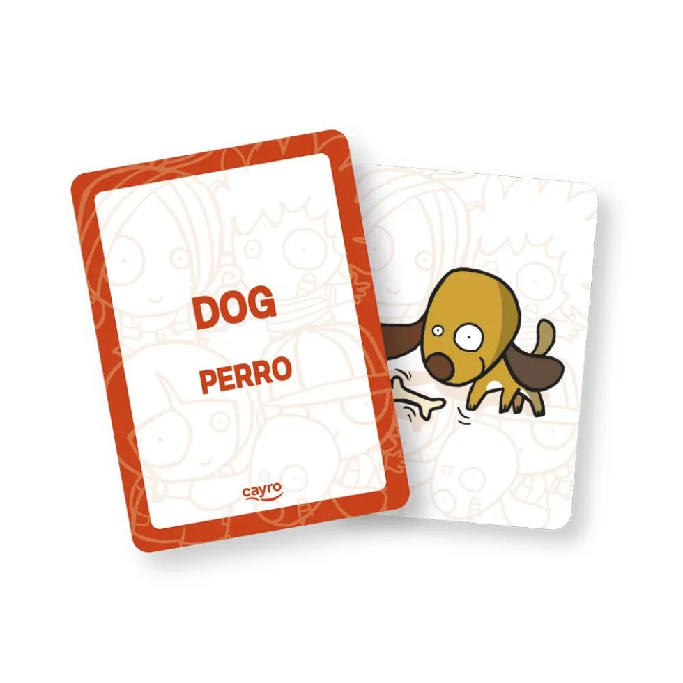 Set de tarjetas Aprende inglés