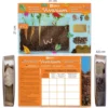 Vivarium kit de cultivo y observación de raíces