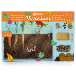 Vivarium kit de cultivo y observación de raíces
