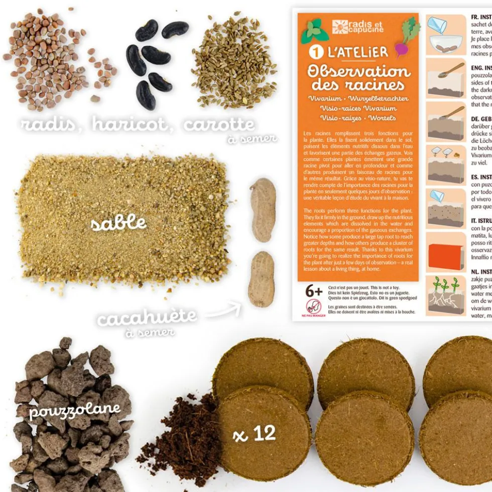 Vivarium kit de cultivo y observación de raíces